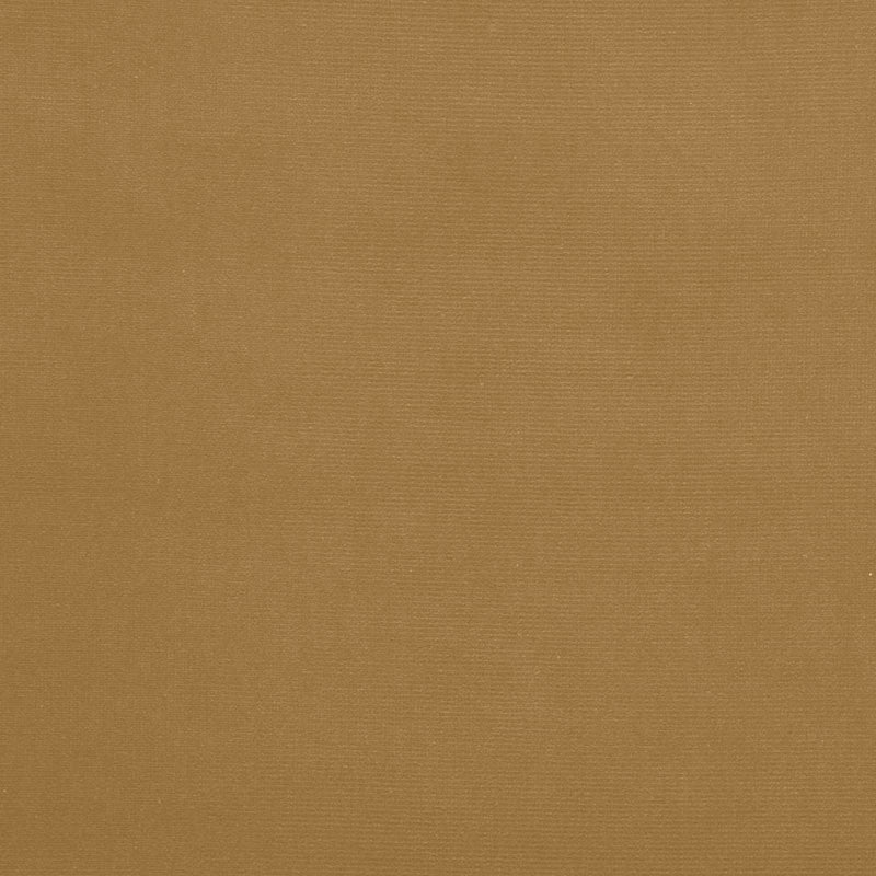 Gainsborough Velvet Split Pea 64561 by Schumacher Fabric Schumacher Fabric Gainsborough Velvet Split Pea 64561Fabric COTTON 100% NETHERLANDS </p><p>Repeat: H: , V: 55 - Fabric Carolina -
