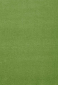 Schumacher Fabric Gainsborough Velvet Grass 64576