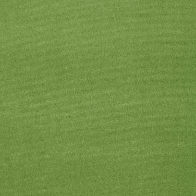 Gainsborough Velvet Grass 64576 by Schumacher Fabric Schumacher Fabric Gainsborough Velvet Grass 64576Fabric COTTON 100% NETHERLANDS </p><p>Repeat: H: , V: 55 - Fabric Carolina -