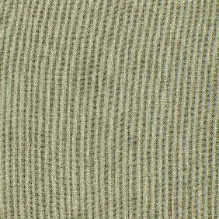 Beckton Weave Basil 64647 by Schumacher Designer Fabric CHROMA See Sample INDIA LIGHT DUTY </p><p>Repeat: Horizontal: - and Vertical: - 53" WIDE (135CM) - Swanky Fabrics -