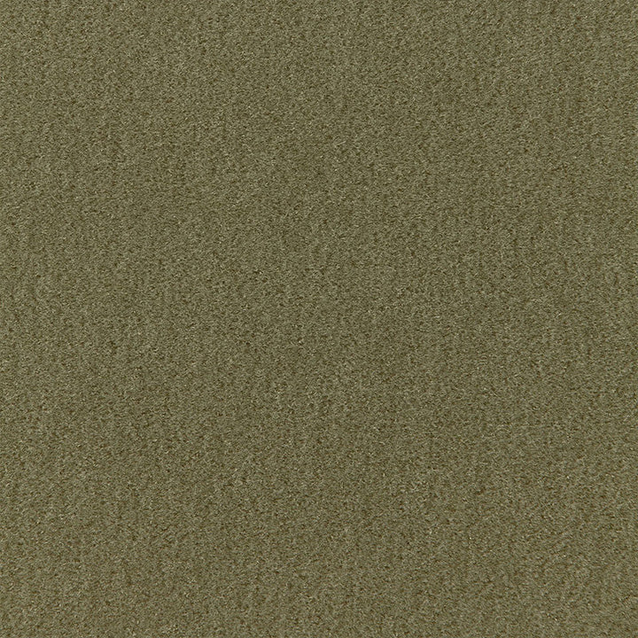 San Carlo Mohair Velvet Moss 64894 by Schumacher Designer Fabric MOHAIR VELVET PROGRAM See Sample NETHERLANDS HEAVY DUTY </p><p>Repeat: Horizontal: - and Vertical: - 55" WIDE (140CM) - Swanky Fabrics -
