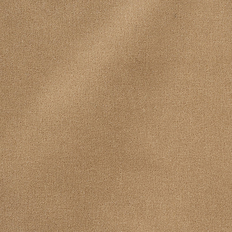 San Carlo Mohair Velvet Doe 64898 by Schumacher Designer Fabric Perfect-Basic-Palermo-And-San-Carlo-Mohairs 54% Cotton, 46% Mohair Martindale 40,000 Horizontal: - and Vertical: - 55 - Swanky Fabrics -