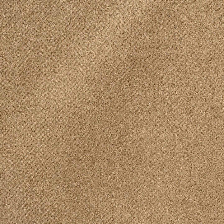 San Carlo Mohair Velvet Doe 64898 by Schumacher Designer Fabric PERFECT BASIC PALERMO AND SAN CARLO MOHAIRS See Sample NETHERLANDS HEAVY DUTY </p><p>Repeat: Horizontal: - and Vertical: - 55" WIDE (140CM) - Swanky Fabrics -