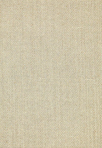 Schumacher Fabric Chaumont Silk Weave String 65073