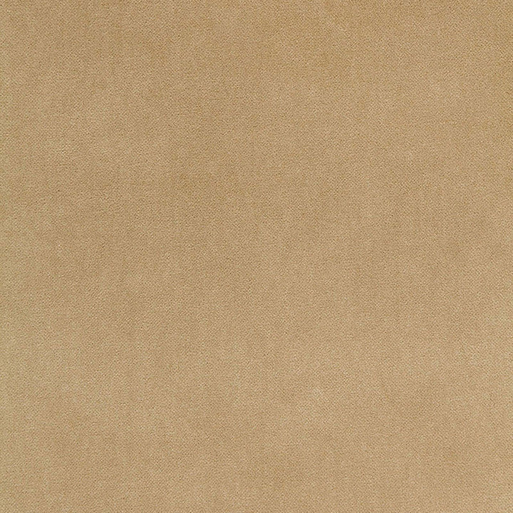 Bayeux Velvet Putty 65311 by Schumacher Designer Fabric AU NATUREL See Sample ITALY HEAVY DUTY </p><p>Repeat: Horizontal: - and Vertical: - 57" WIDE (145CM) - Swanky Fabrics -