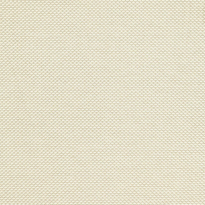 Medina Weave Ivory 65761 by Schumacher Fabric Schumacher Fabric Medina Weave Ivory 65761Fabric POLYESTER 100% INDIA </p><p>Repeat: H: HORZ. 1/4" (1CM) , V: VERT. 1/4" (1CM) 54 - Fabric Carolina -