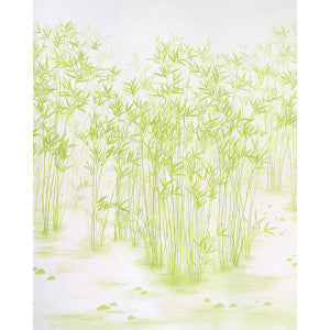 Schumacher Wallpaper Kanji Green 5011790