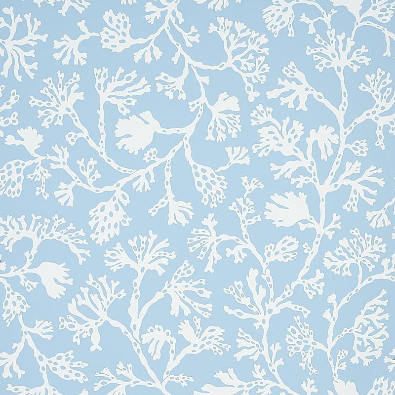 Anthoza Sky 5012130 by Schumacher Designer Wallpaper Signature Schumacher 27.0" - Swanky Fabrics -