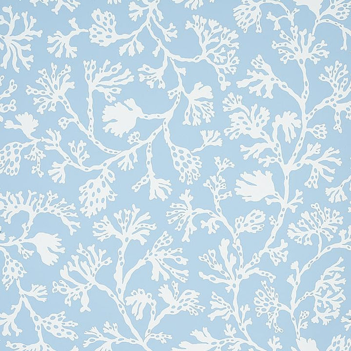 Anthoza Sky 5012130 by Schumacher Designer Wallpaper Signature Schumacher 27.0" - Swanky Fabrics -