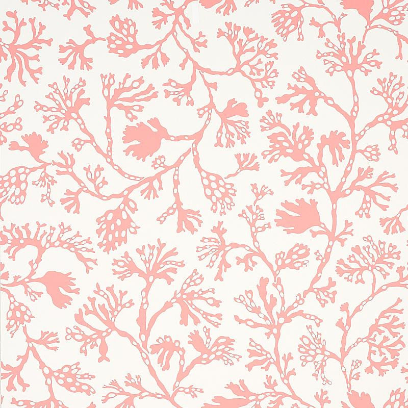 Anthoza Coral 5012132 by Schumacher Designer Wallpaper Signature Schumacher 27.0" - Swanky Fabrics -