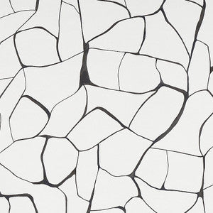 Schumacher Wallpaper Filigree Black 5009704