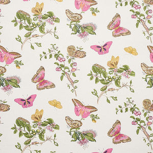 Schumacher Wallpaper Baudin Butterfly Blush 5010690