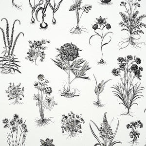 Schumacher Wallpaper Cabot Botanical Large Ivory 5010640