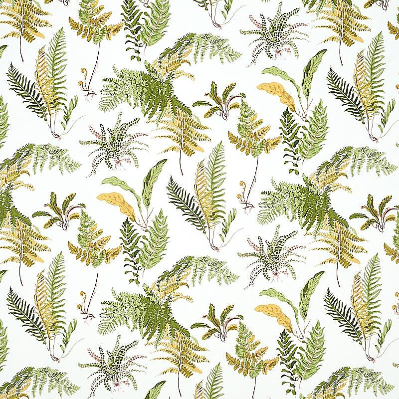 Les Fougeres Spring 5010661 by Schumacher Designer Wallpaper Signature Schumacher 18.0" - Swanky Fabrics -