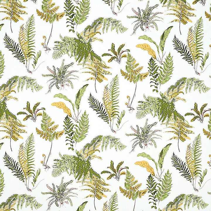 Les Fougeres Spring 5010661 by Schumacher Designer Wallpaper Signature Schumacher 18.0" - Swanky Fabrics -