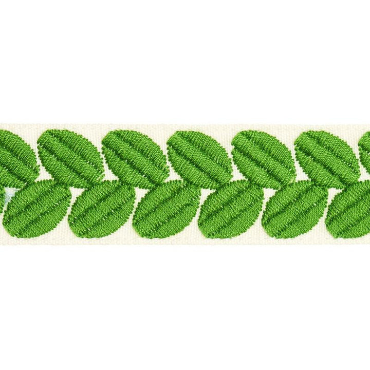 Berkeley Tape Narrow Leaf 79913 by Schumacher Designer Trim Happy Together Ii - Swanky Fabrics -