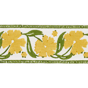 Schumacher Trim Adra Hand Blocked Tape Yellow & Green 74404