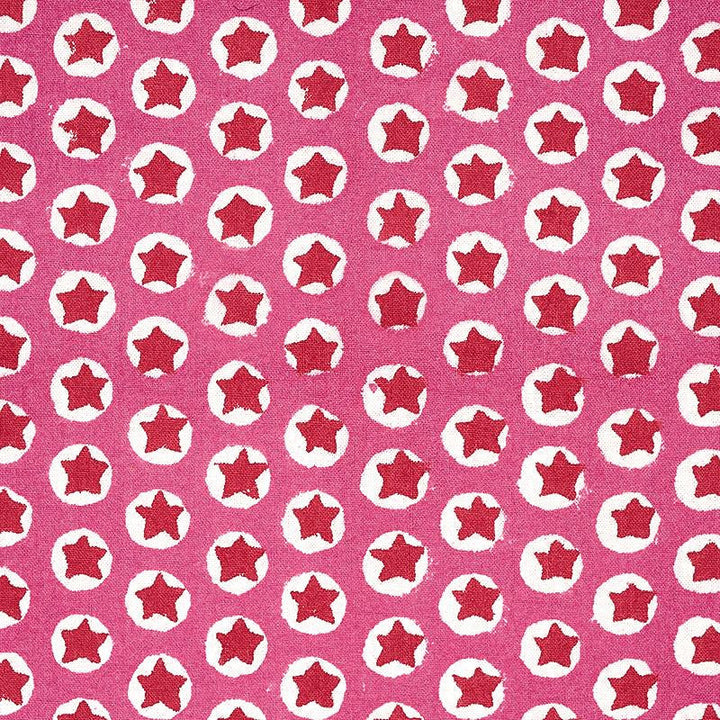Tuk Tuk Hand Block Print Pink 179220 by Schumacher Designer Fabric Molly Mahon 1.0" - Swanky Fabrics -