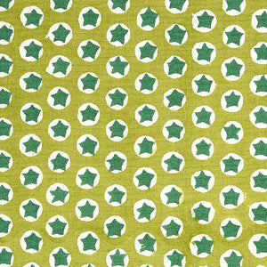 Schumacher Fabric Tuk Tuk Hand Block Print Green 179223