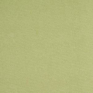 Schumacher Fabric Albert Performance Cotton Green 77810