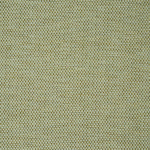 Schumacher Fabric Momo Hand Woven Texture Fern 78933