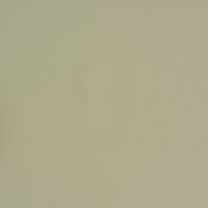 Vegan Leather Indoor/Outdoor Dune 79553 by Schumacher Designer Fabric Perfect Basics: Vegan Leather & Suede - Swanky Fabrics -