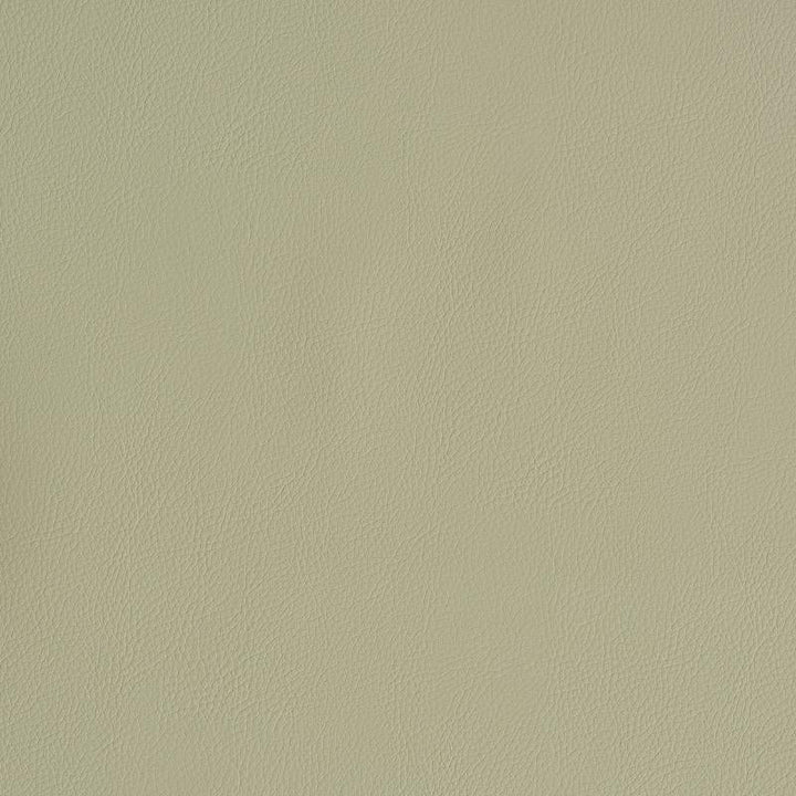 Vegan Leather Indoor/Outdoor Dune 79553 by Schumacher Designer Fabric Perfect Basics: Vegan Leather & Suede - Swanky Fabrics -