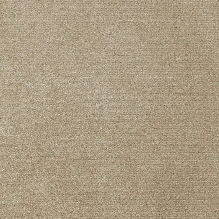 Monaco Performance Velvet Driftwood 65902 by Schumacher Designer Fabric STEEL MAGNOLIA See Sample MEXICO HEAVY DUTY </p><p>Repeat: Horizontal: - and Vertical: - 54" WIDE (137CM) - Swanky Fabrics -