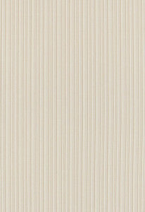 Schumacher Fabric Marbella Strie Driftwood 65971