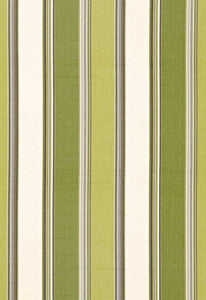 Schumacher Fabric Addison Cotton Stripe Vert 66003