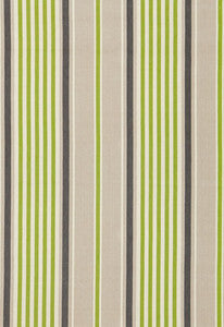Schumacher Fabric Minzer Cotton Stripe Vert 66012