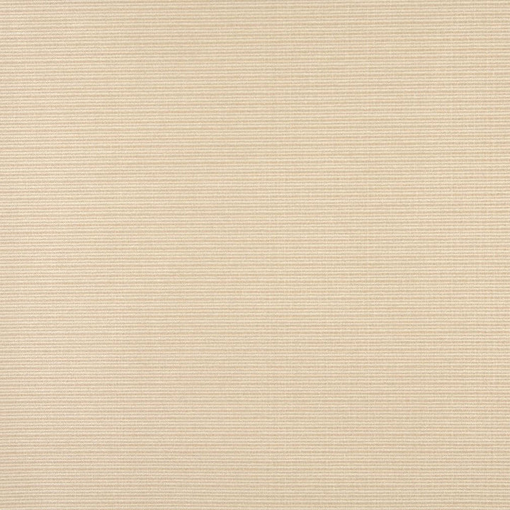 6617 Sand by Charlotte Designer Fabric Outdoor/Indoor Oasis III 100% Woven Polyester Made In USA Exceeds 48,000 Wyzenbeek Rubs (Heavy Duty) No Repeat 54 Inches - Swanky Fabrics -