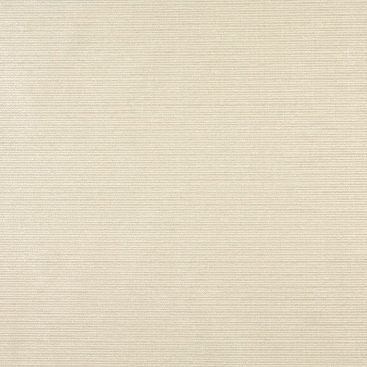 6621 Ivory by Charlotte Designer Fabric Outdoor/Indoor Oasis III 100% Woven Polyester Made In USA Exceeds 48,000 Wyzenbeek Rubs (Heavy Duty) No Repeat 54 Inches - Swanky Fabrics -