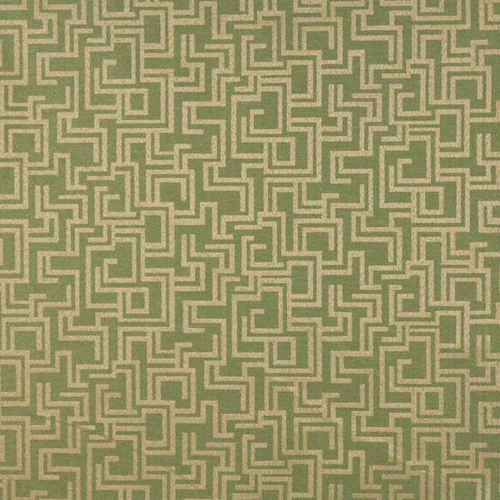 6634 Fern/Geometric by Charlotte Designer Fabric Outdoor/Indoor Oasis III 100% Woven Polyester Made In USA Exceeds 48,000 Wyzenbeek Rubs (Heavy Duty) Horizontal: 29.0" x Vertical: 10.0" 54 Inches - Swanky Fabrics -
