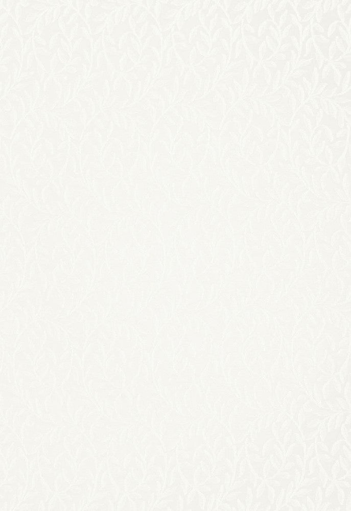 Fernwood Sheer Naturel 66380 by Schumacher Designer Fabric Radiance-Sheers 100% Cotton - Horizontal: 4.5 and Vertical: 13.25 66.25 - Swanky Fabrics -
