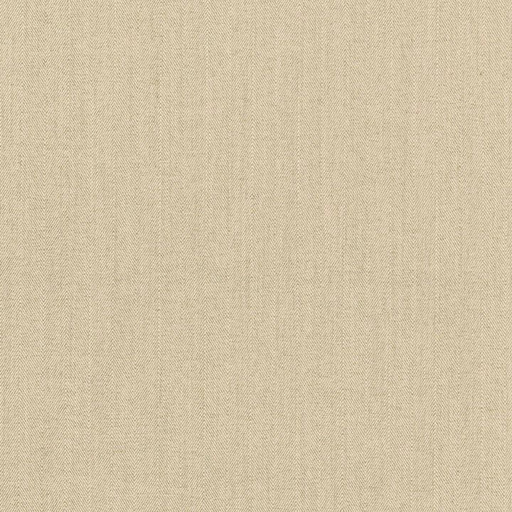 Marcq Chenille Herringbone Greige 66530 by Schumacher Fabric Schumacher Fabric Marcq Chenille Herringbone Greige 66530Fabric TREVIRA CS 100% ITALY </p><p>Repeat: H: HORZ. 2 1/8" (5CM) , V: 54 - Fabric Carolina -