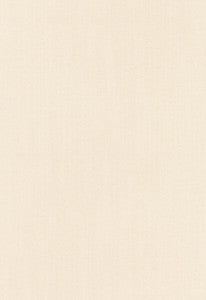 Schumacher Fabric Marcq Chenille Herringbone Creme 66531