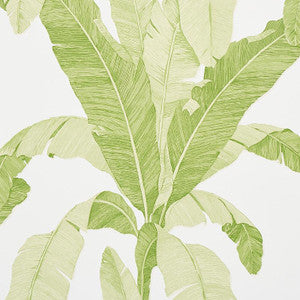 Schumacher Wallpaper Erisimo Leaf 5012110