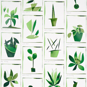 Schumacher Wallpaper Botanicals Greenhouse 5012691