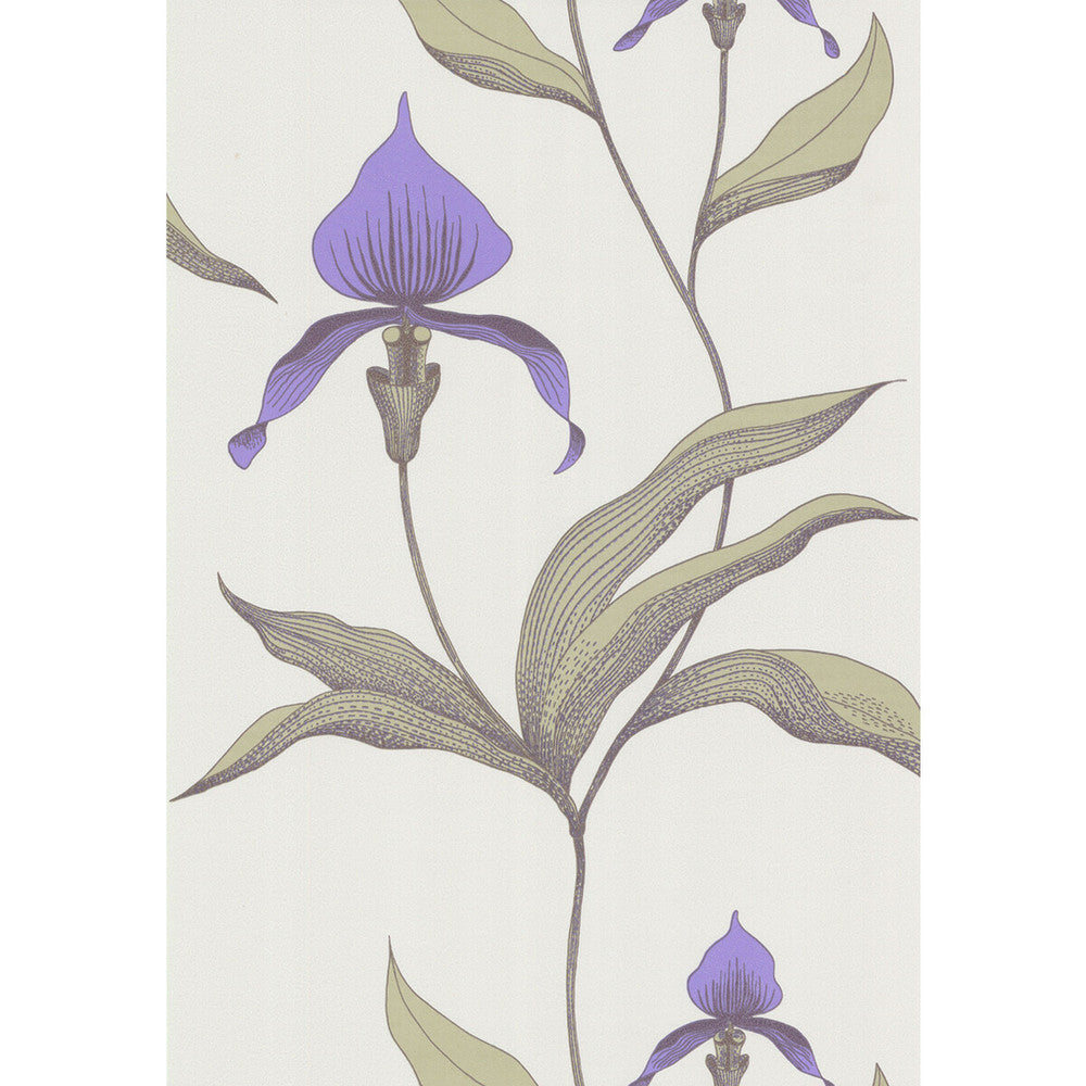 Orchid White/M by Cole & Son Designer Wallcovering COLE & SON NEW CONTEMPORARY PAPER - 100% United Kingdom Horizontal: 0 and Vertical: 28.5 20.5 - Swanky Fabrics -