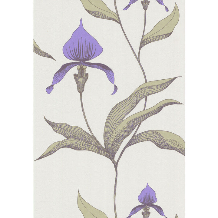 Orchid White/M by Cole & Son Designer Wallcovering COLE & SON NEW CONTEMPORARY PAPER - 100% United Kingdom Horizontal: 0 and Vertical: 28.5 20.5 - Swanky Fabrics -