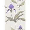 Cole & Son Wallpaper Orchid White/M