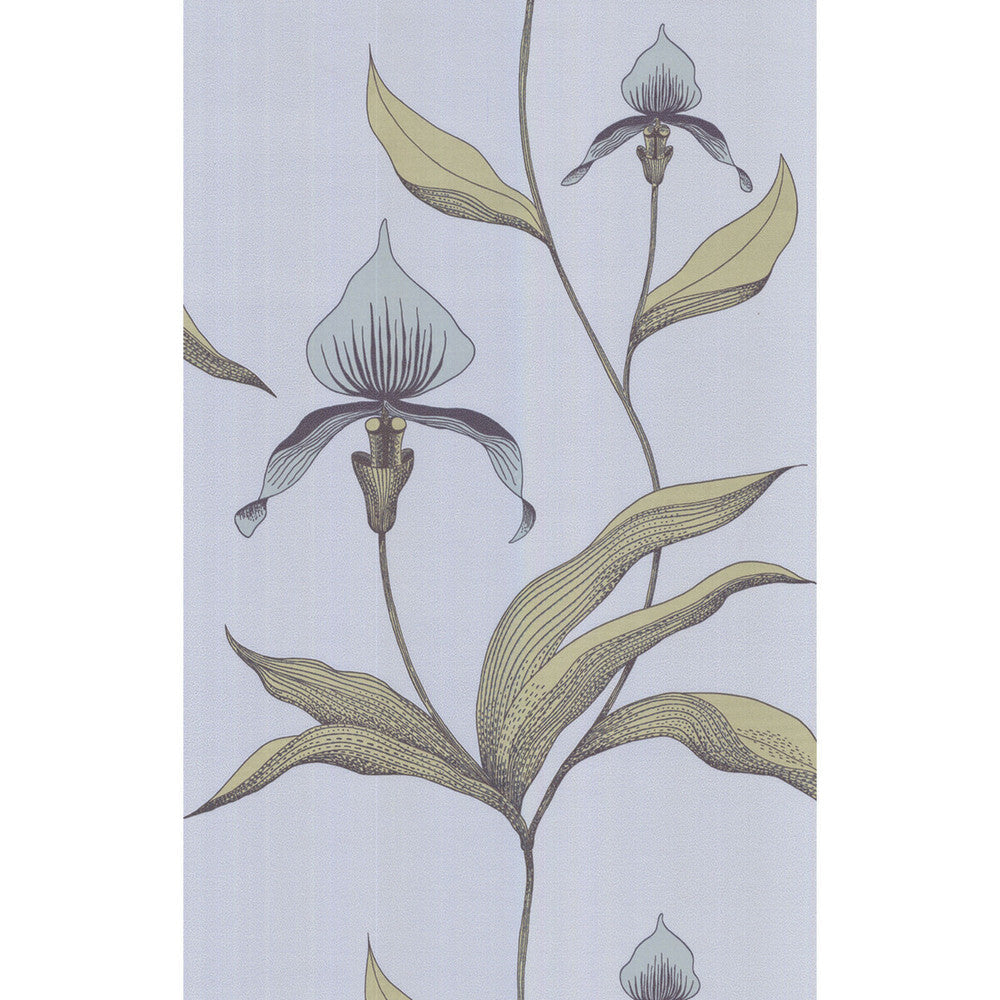 Orchid Blue Gr by Cole & Son Wallcovering Cole & Son Wallcovering Orchid Blue GrWallcovering COLE & SON NEW CONTEMPORARY PAPER - 100% United Kingdom </p><p>Repeat: H: 0, V: 28.5 20.5 - Fabric Carolina -