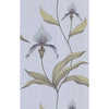 Cole & Son Wallpaper Orchid Blue Gr