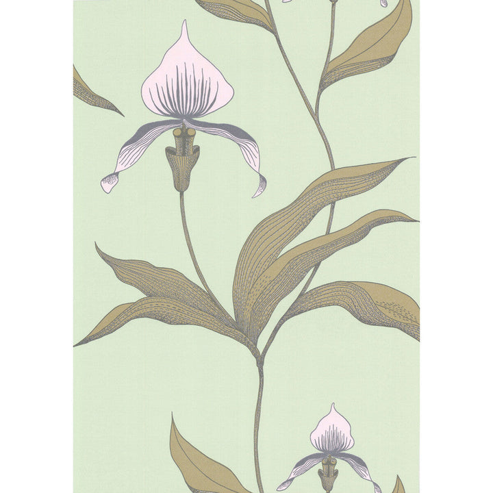 Orchid Pale Gr by Cole & Son Designer Wallcovering COLE & SON NEW CONTEMPORARY PAPER - 100% United Kingdom Horizontal: 0 and Vertical: 28.5 20.5 - Swanky Fabrics -