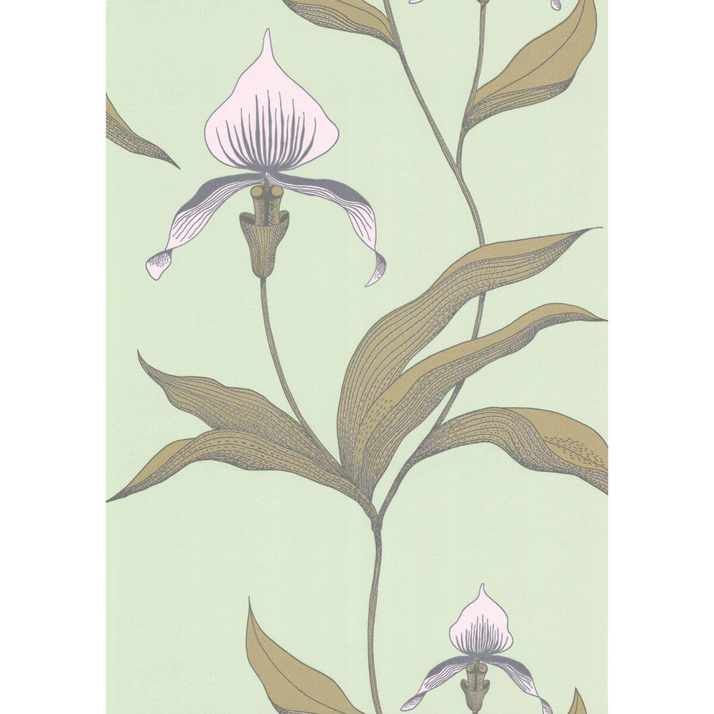 Orchid Pale Gr by Cole & Son Designer Wallcovering COLE & SON NEW CONTEMPORARY PAPER - 100% United Kingdom - Horizontal: 0 and Vertical: 28.5 20.5 - Swanky Fabrics -