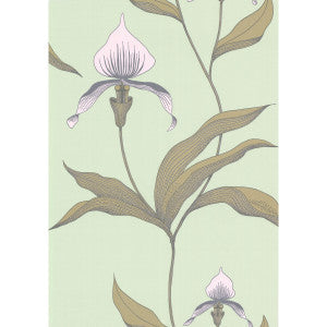 Cole & Son Wallpaper Orchid Pale Gr
