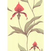 Cole & Son Wallpaper Orchid Lime/Or