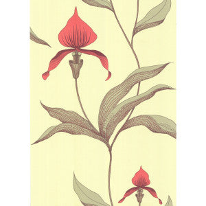 Cole & Son Wallpaper Orchid Lime/Or