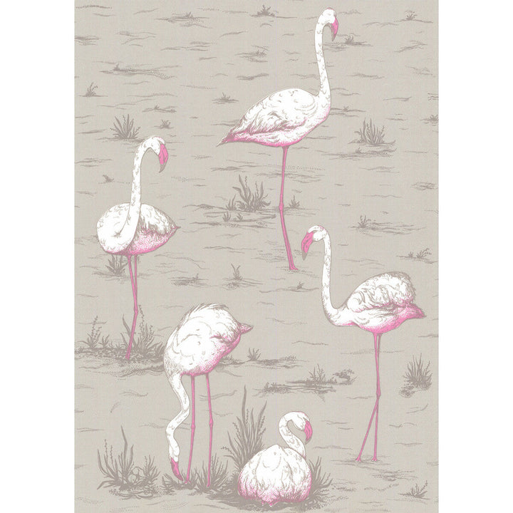 Flamingos Grey by Cole & Son Designer Wallcovering COLE & SON NEW CONTEMPORARY PAPER - 100% United Kingdom Horizontal: 21 and Vertical: 27.5 21 - Swanky Fabrics -